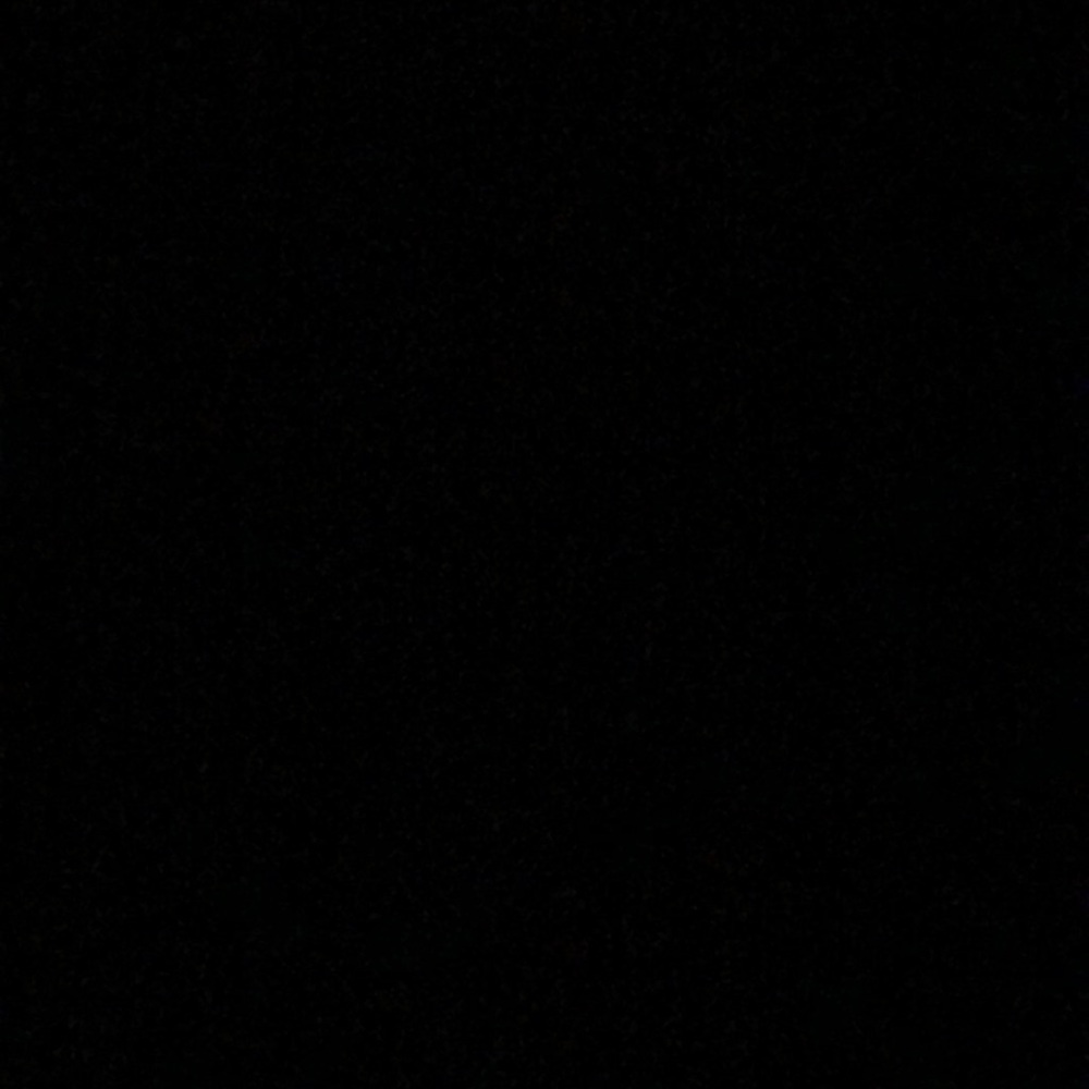 Meet your Posher, Ryn